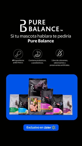 Lider: SUPER.LIDER.CL | Tu tienda en línea Chile | Encuentra en Lider.cl un amplio catá