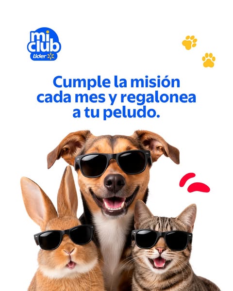 Lider: ¡Cumple las misiones de Mi Club junto a tu mascota! 💙 | ¡Anímate a cumplirlas y